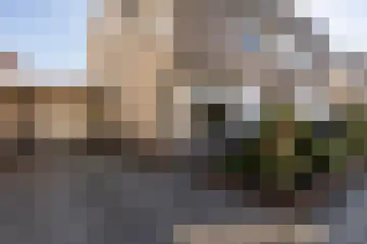 Reiger 3 Veldhoven thumbnail 38