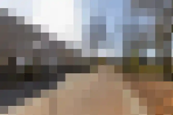 Reiger 3 Veldhoven thumbnail 40