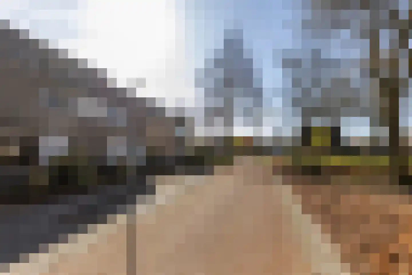 Reiger 3 Veldhoven thumbnail 40