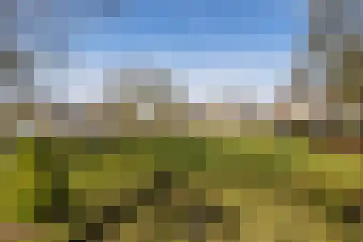 Reiger 3 Veldhoven thumbnail 43
