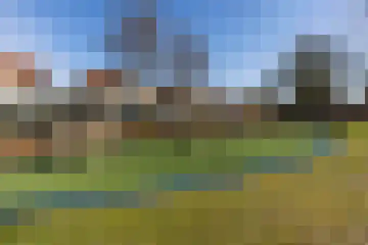 Reiger 3 Veldhoven thumbnail 44