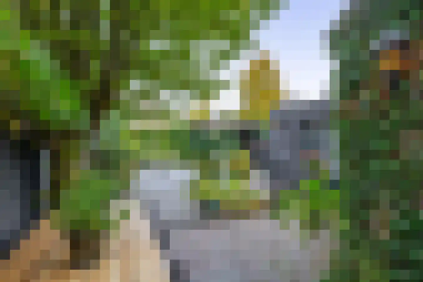 Reiger 32 Sprang-Capelle thumbnail 22