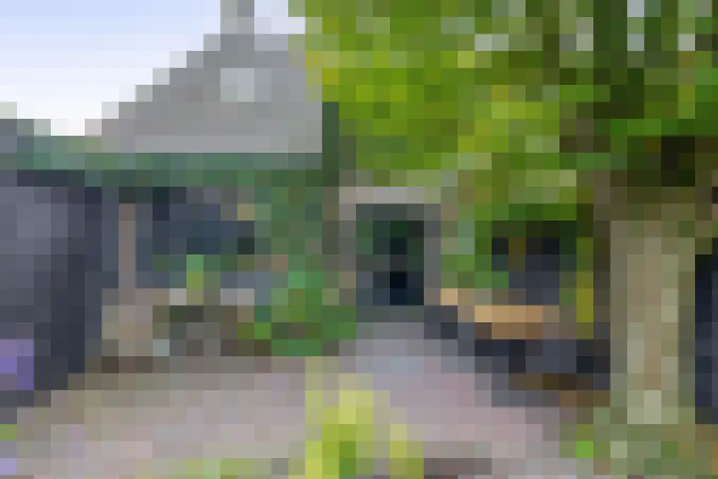 Reiger 32 Sprang-Capelle thumbnail 28