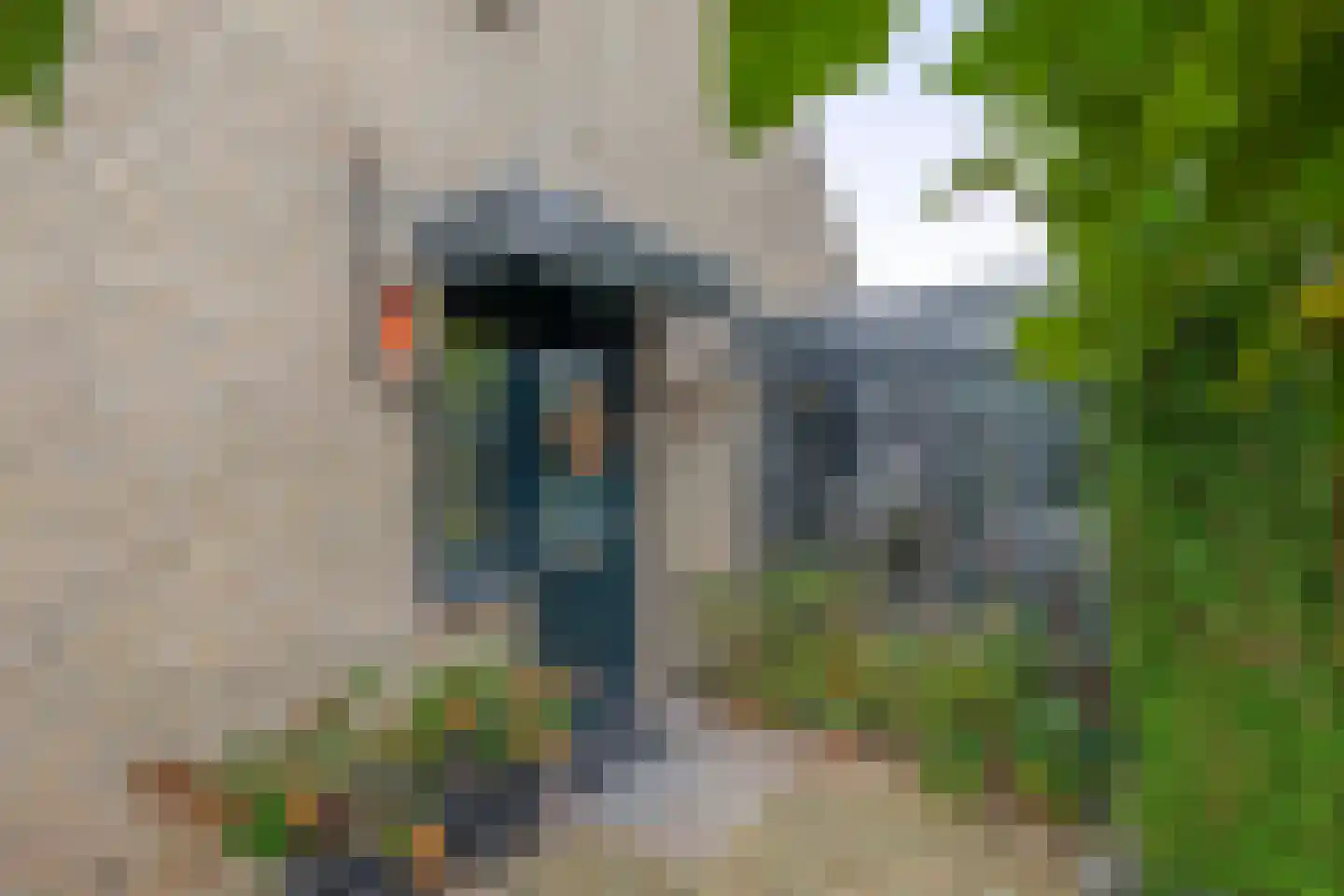 Reiger 32 Sprang-Capelle thumbnail 7