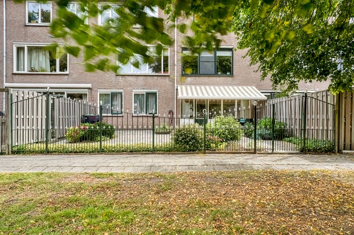 Reiger 38 in Zoeterwoude foto