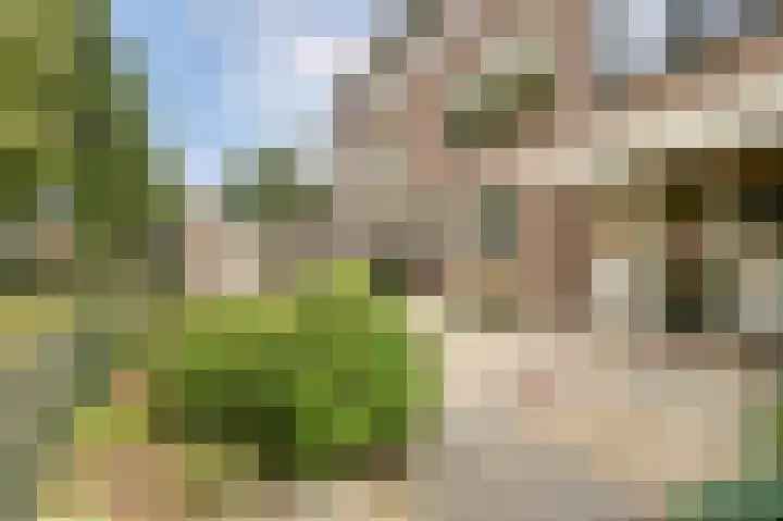 Reiger 38 Zoeterwoude thumbnail 4