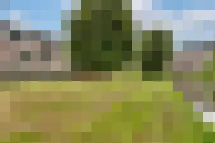 Reiger 38 Zoeterwoude thumbnail 5