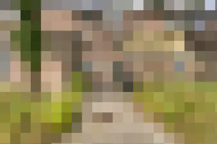 Reiger 38 Zoeterwoude thumbnail 6