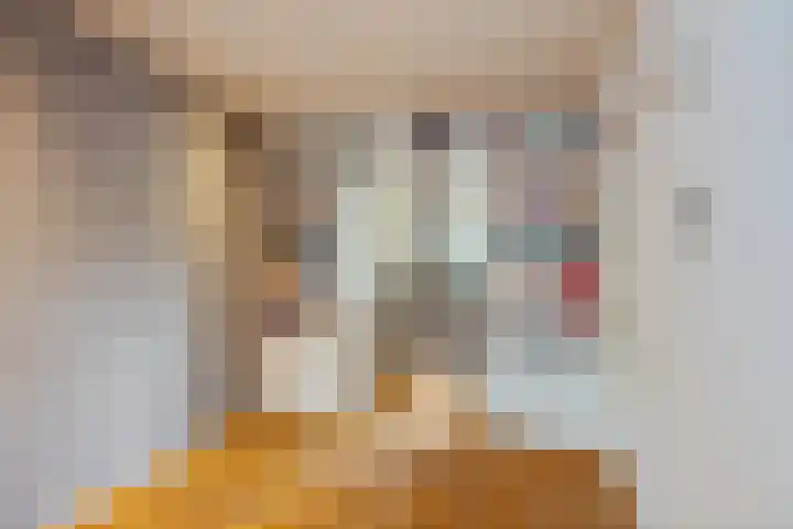 Reiger 4 Raalte thumbnail 12