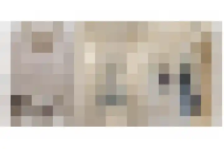 Reiger 4 Raalte thumbnail 22