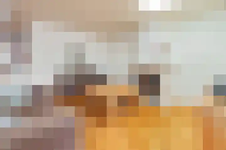 Reiger 4 Raalte thumbnail 8