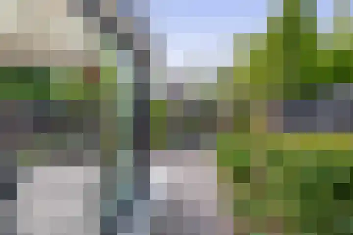 Reiger 43 Sprang-Capelle thumbnail 27