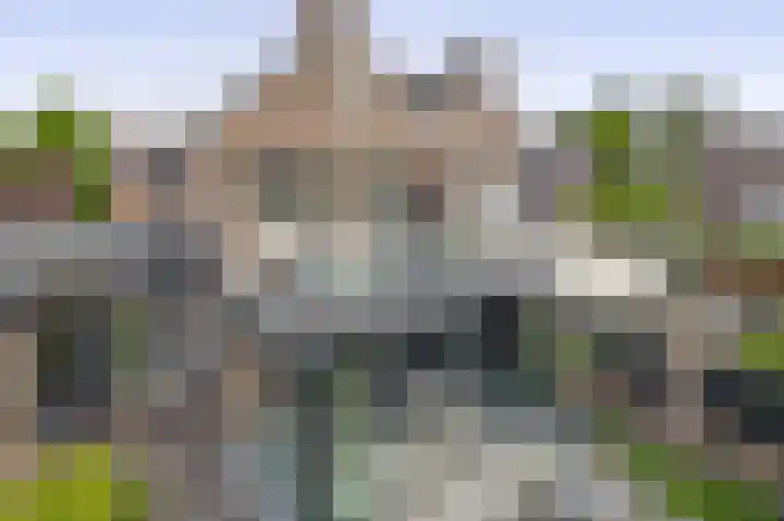 Reiger 43 Sprang-Capelle thumbnail 28