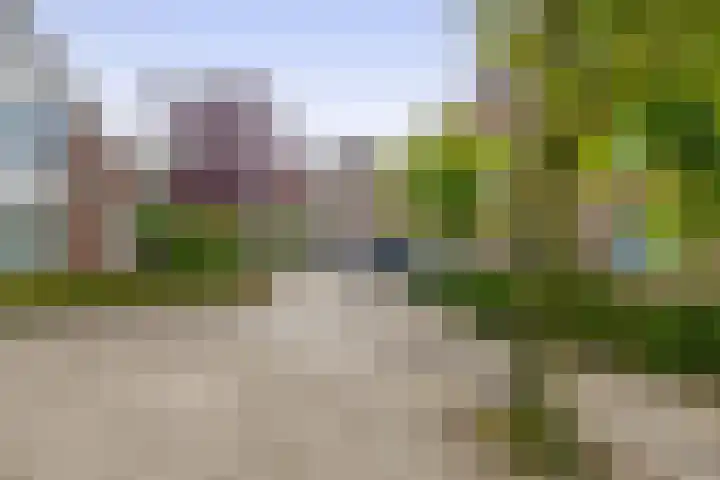 Reiger 43 Sprang-Capelle thumbnail 5