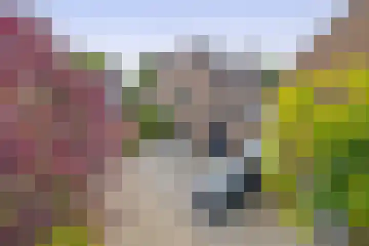 Reiger 43 Sprang-Capelle thumbnail 6