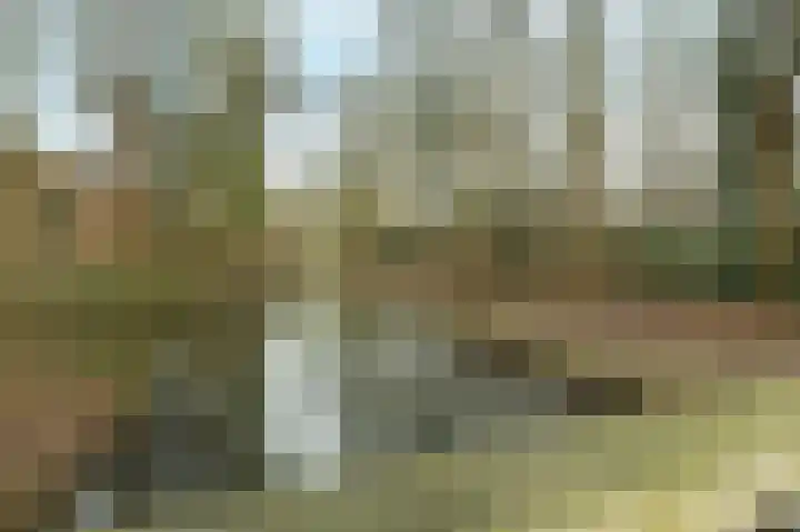 Reiger 47 Hoogvliet Rotterdam thumbnail 5