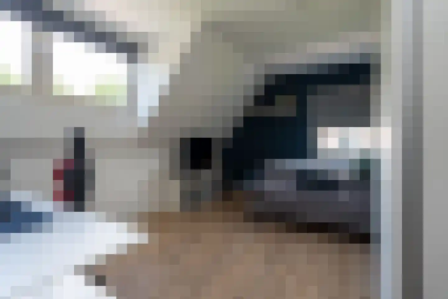 Reiger 56 Muntendam thumbnail 31