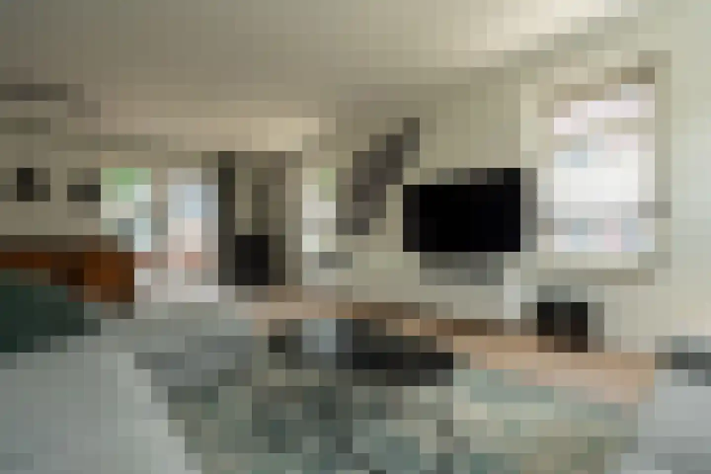 Reiger 56 Muntendam thumbnail 7