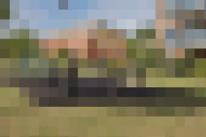 Reiger 59 's-Gravenzande thumbnail 30