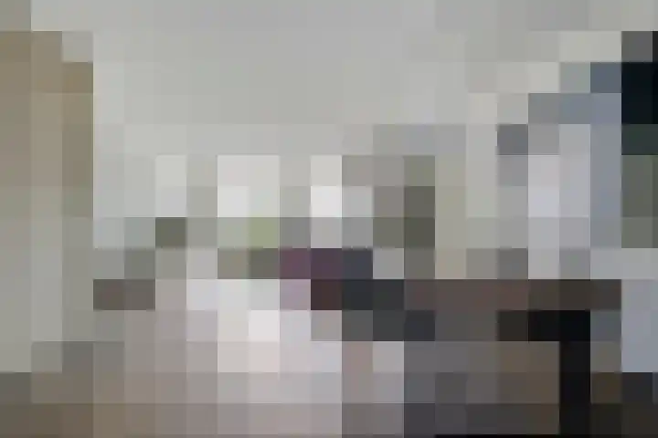 Reiger 79 Raalte thumbnail 11