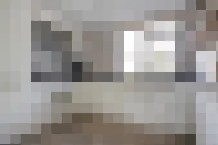 Reiger 79 Raalte thumbnail 13
