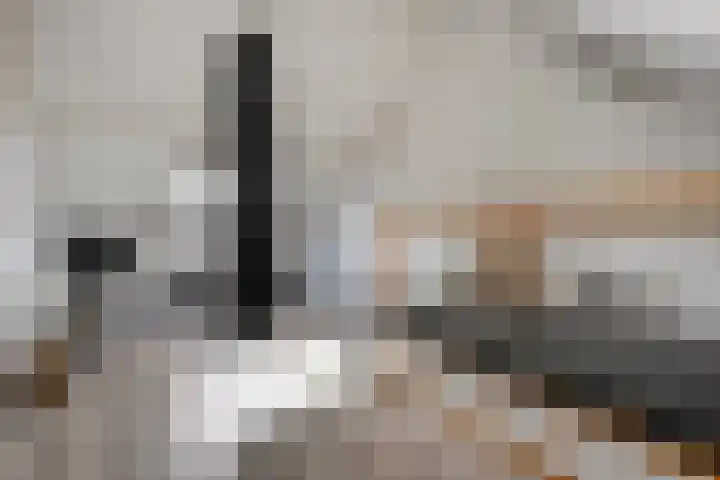 Reiger 79 Raalte thumbnail 28