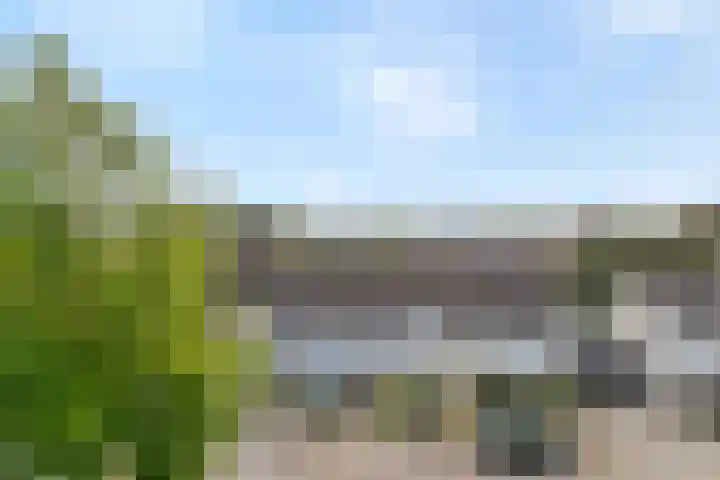 Reiger 79 Raalte thumbnail 30