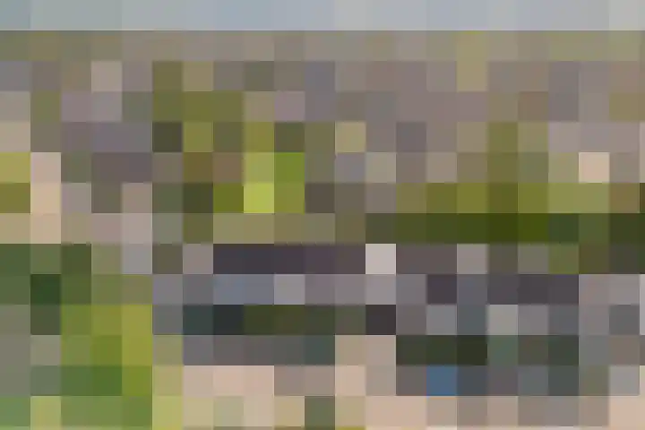 Reiger 79 Raalte thumbnail 31