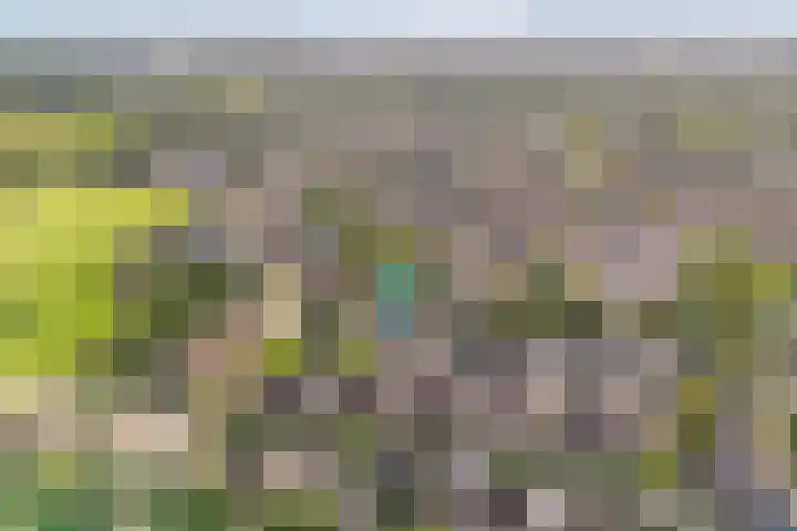Reiger 79 Raalte thumbnail 32