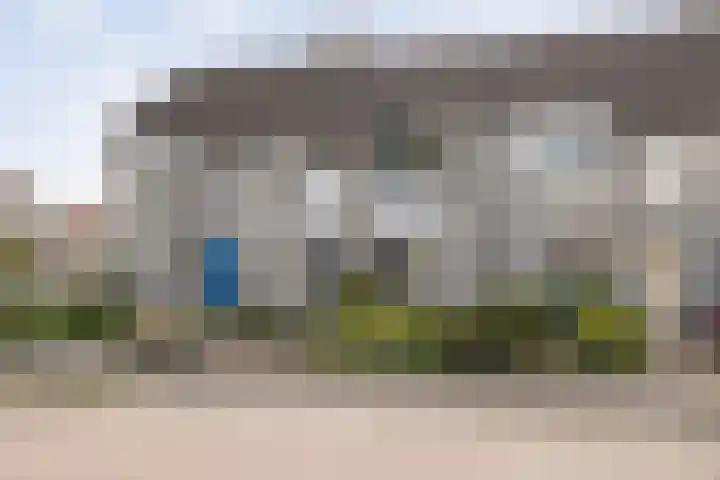 Reiger 79 Raalte thumbnail 33