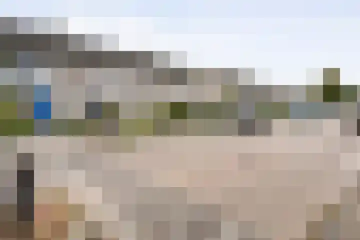 Reiger 79 Raalte thumbnail 34