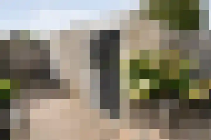 Reiger 79 Raalte thumbnail 4