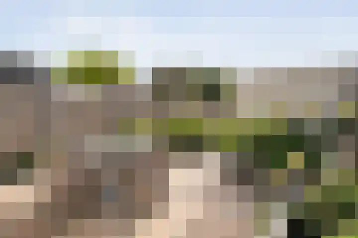 Reiger 79 Raalte thumbnail 5