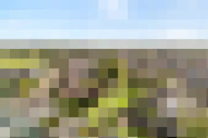 Reiger 79 Raalte thumbnail 7