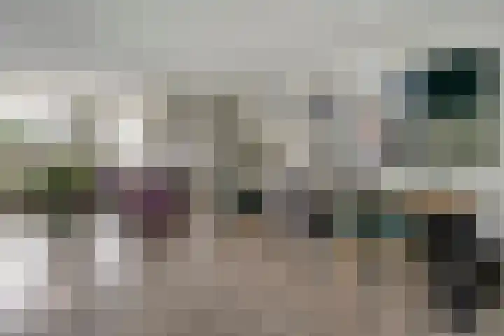 Reiger 79 Raalte thumbnail 8