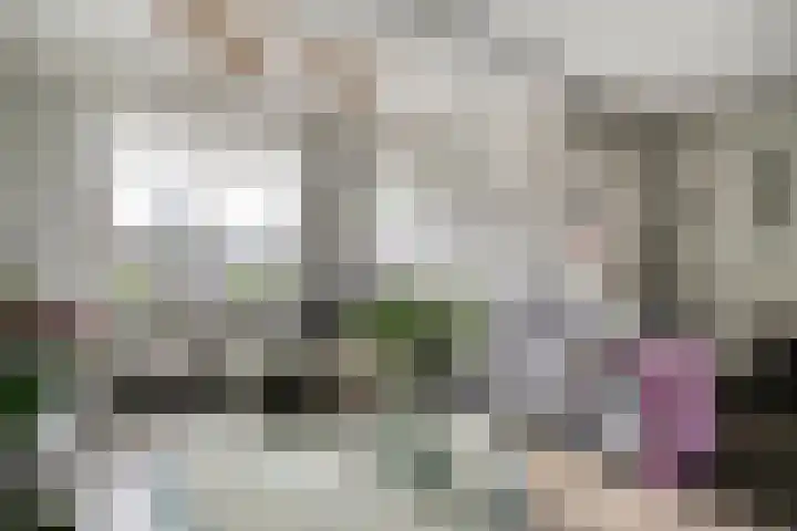 Reiger 79 Raalte thumbnail 9