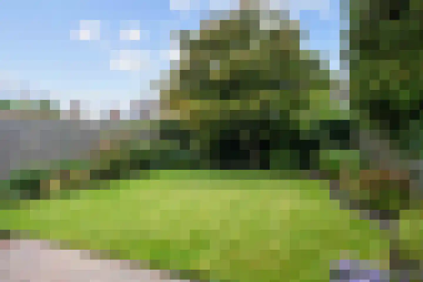 Reiger 8 Bedum thumbnail 50