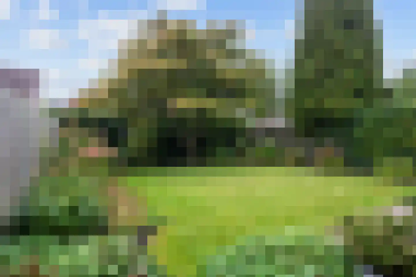 Reiger 8 Bedum thumbnail 51