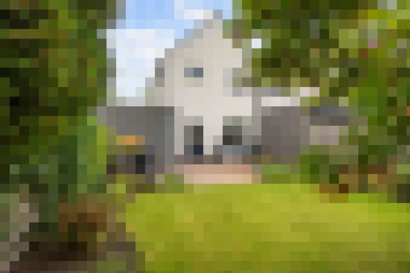 Reiger 8 Bedum thumbnail 54