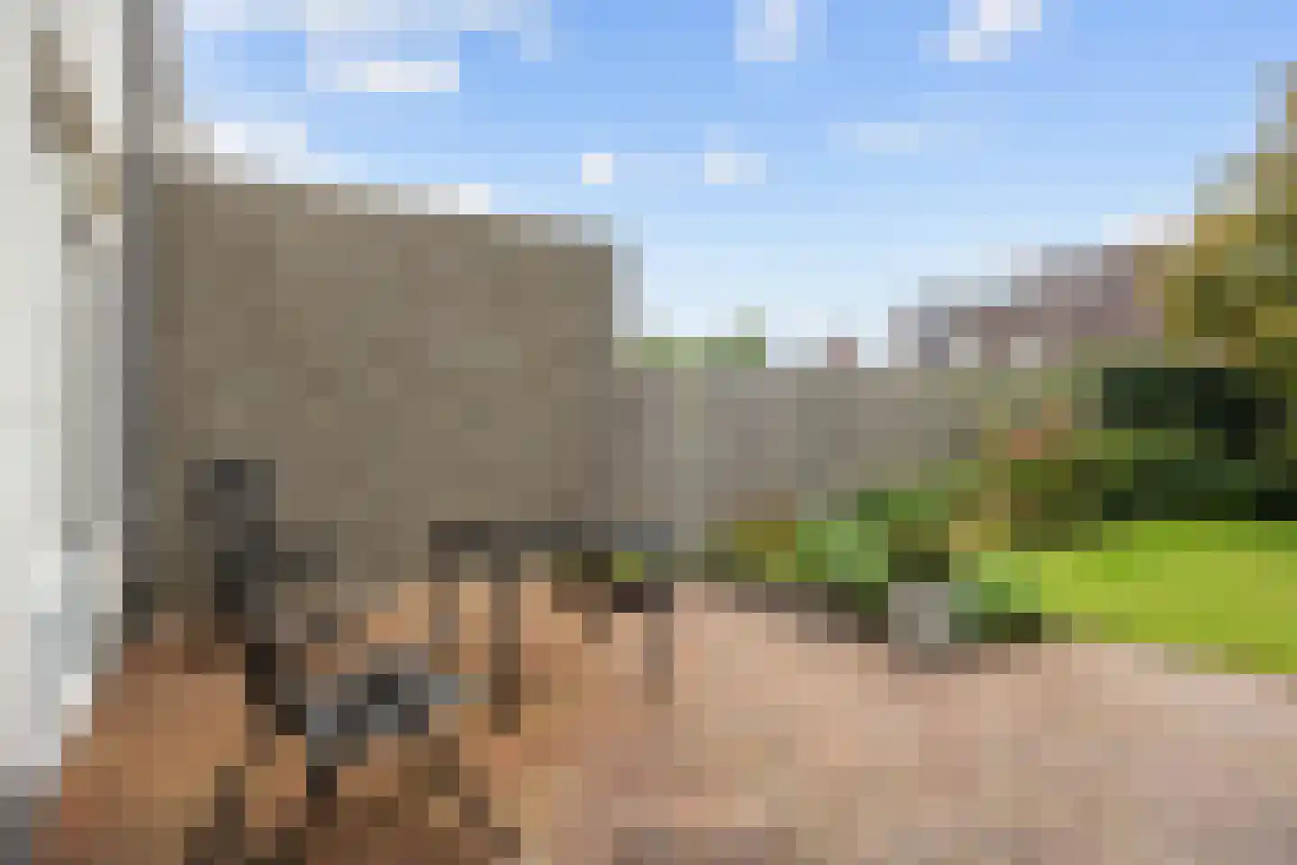 Reiger 8 Bedum thumbnail 55
