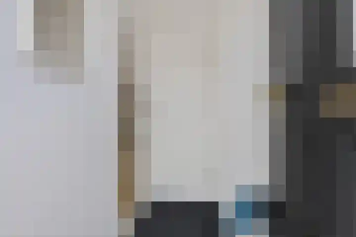 Reiger 8 Genemuiden thumbnail 10