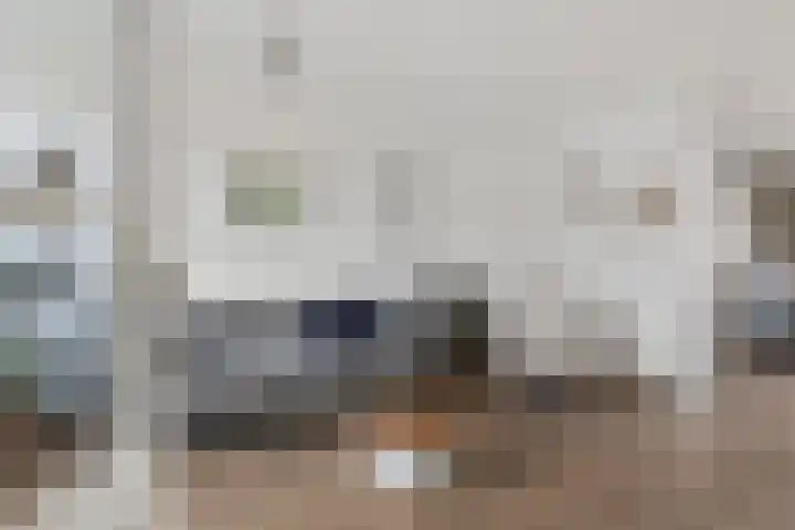 Reiger 8 Genemuiden thumbnail 12