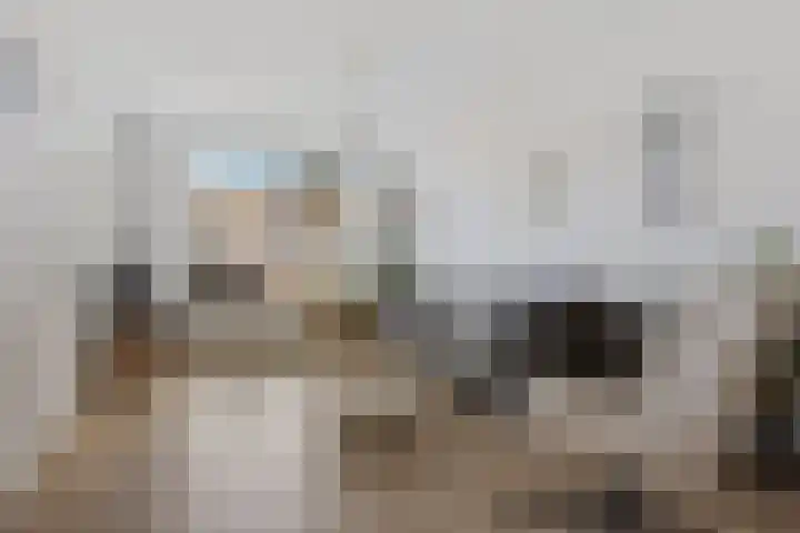 Reiger 8 Genemuiden thumbnail 13