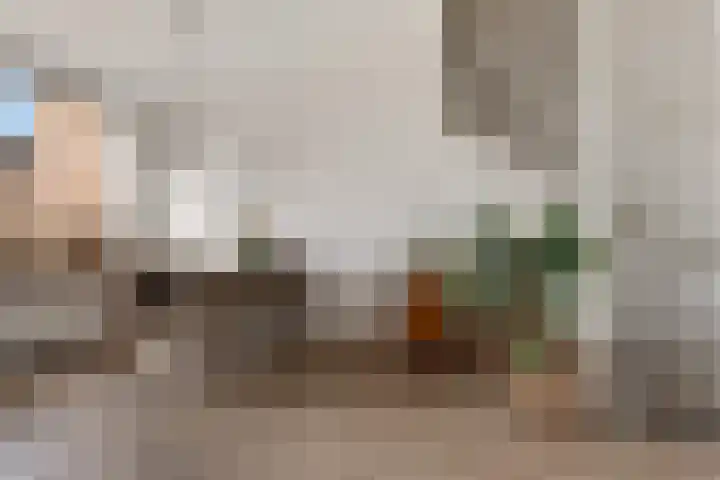 Reiger 8 Genemuiden thumbnail 14