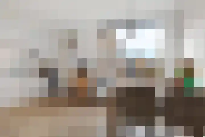 Reiger 8 Genemuiden thumbnail 19
