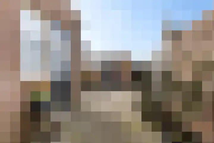 Reiger 8 Genemuiden thumbnail 24