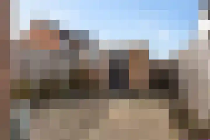 Reiger 8 Genemuiden thumbnail 25