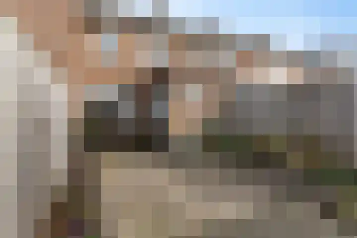 Reiger 8 Genemuiden thumbnail 26