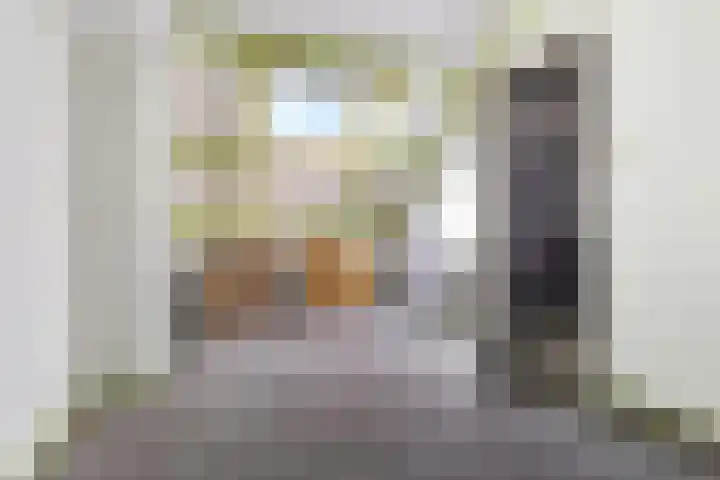 Reiger 8 Genemuiden thumbnail 37