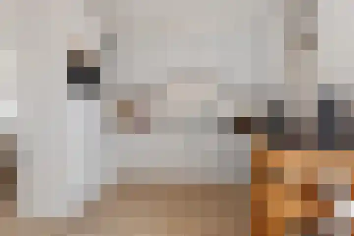 Reiger 8 Genemuiden thumbnail 4